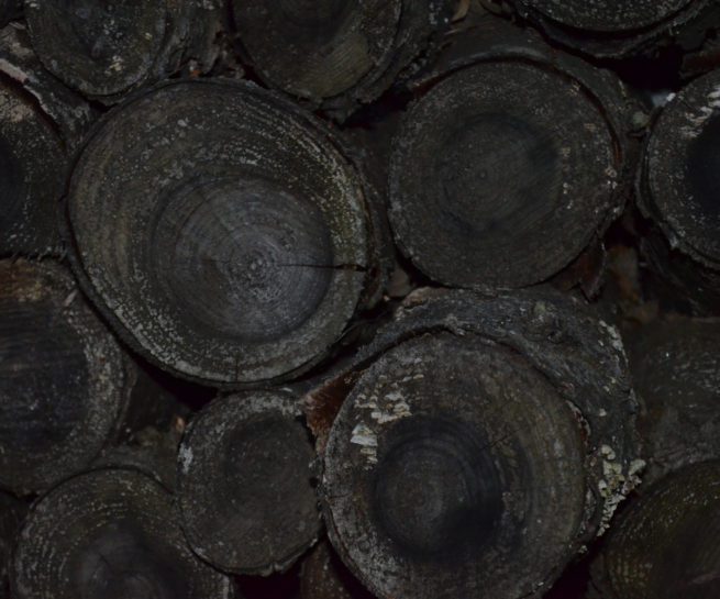 Abstract Photograph by Peter Reiss