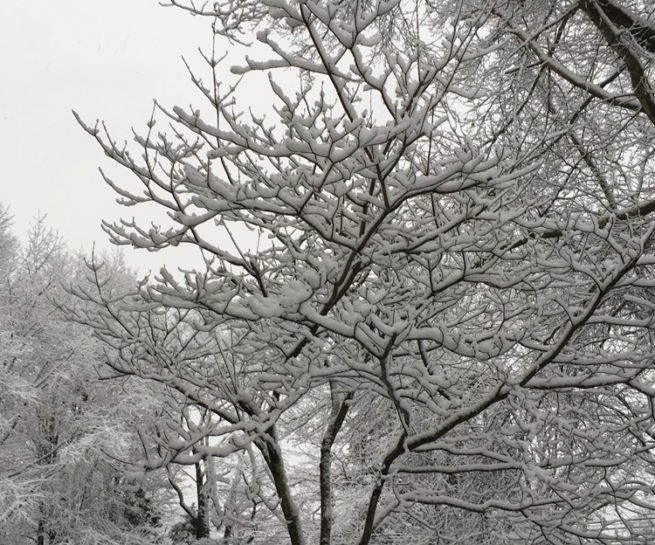 Landscape Photograph by Peter Reiss